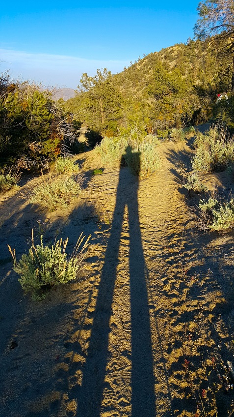 20150528_185256_long shadow of hiker